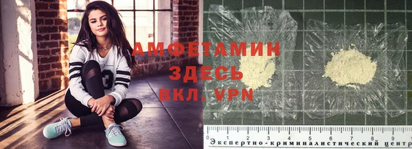 молекула духа Магадан