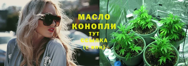 молекула духа Магадан