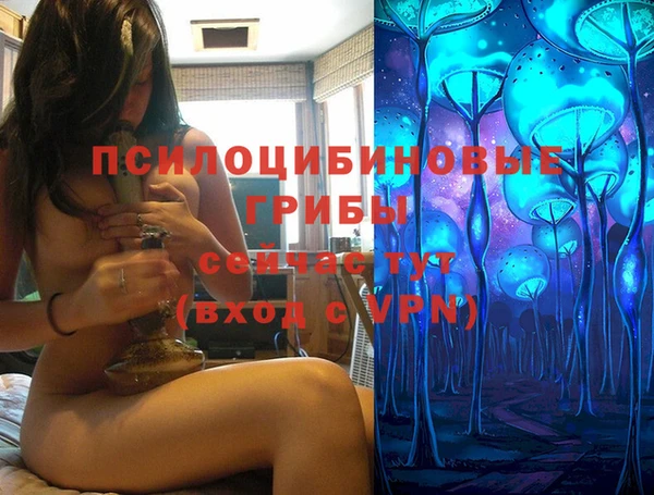 молекула духа Магадан
