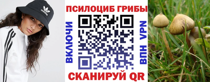 Псилоцибиновые грибы MAGIC MUSHROOMS Купить Троицк