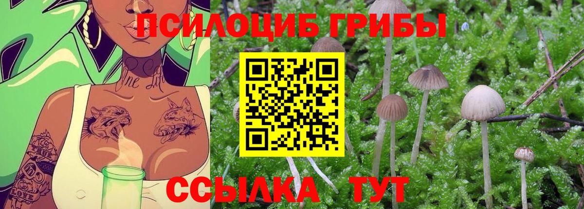 Троицк  Псилоцибиновые грибы Psilocybine cubensis  Вход с VPN 