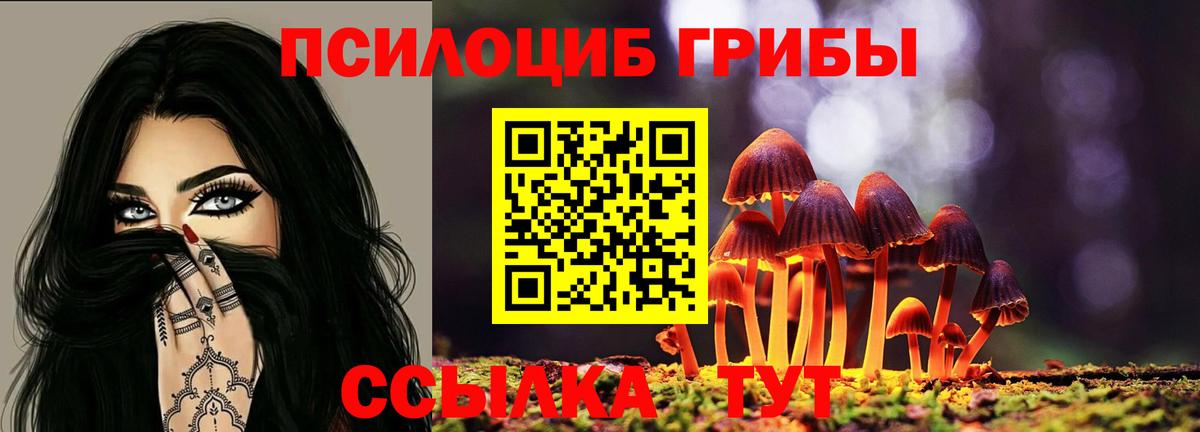 Галлюциногенные грибы Cubensis  Псилоцибиновые грибы Psilocybine cubensis  Вход с VPN  Троицк 